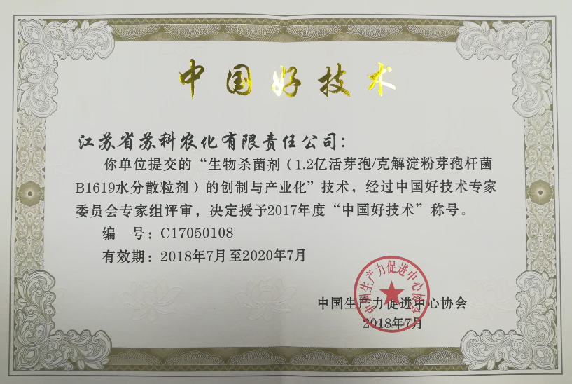 中(zhōng)國(guó)好技(jì )術1
